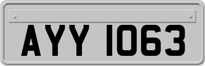 AYY1063
