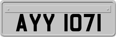 AYY1071