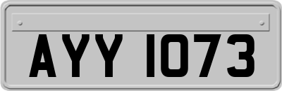 AYY1073