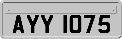 AYY1075