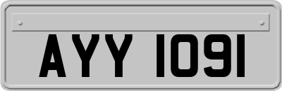 AYY1091