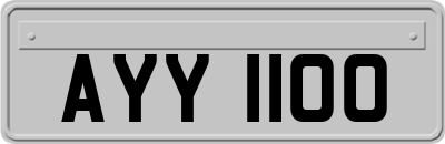 AYY1100