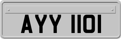 AYY1101