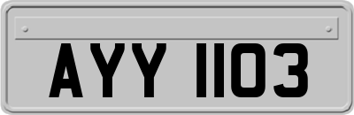 AYY1103