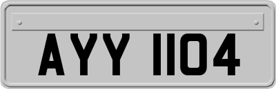 AYY1104