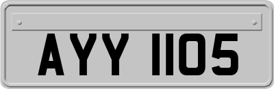 AYY1105