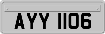 AYY1106