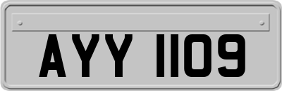 AYY1109