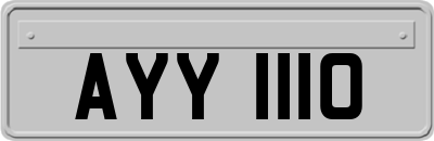 AYY1110