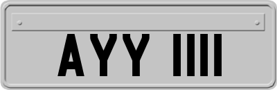 AYY1111