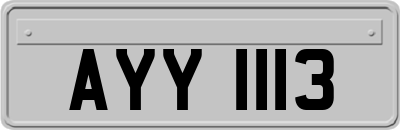AYY1113