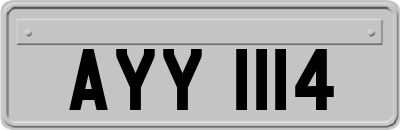 AYY1114