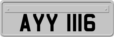 AYY1116