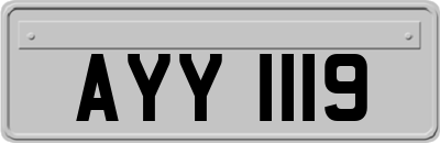 AYY1119