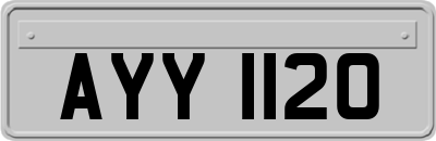 AYY1120