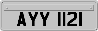 AYY1121