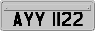 AYY1122