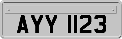 AYY1123