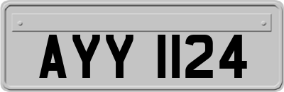 AYY1124