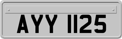 AYY1125