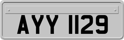 AYY1129
