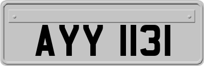 AYY1131