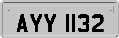 AYY1132