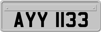 AYY1133
