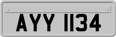 AYY1134