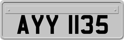 AYY1135