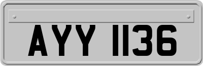 AYY1136