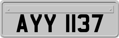 AYY1137
