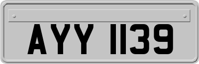 AYY1139