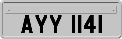 AYY1141