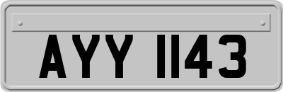 AYY1143