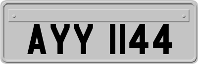 AYY1144