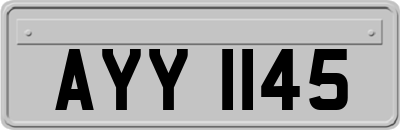 AYY1145