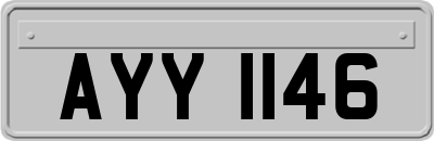 AYY1146