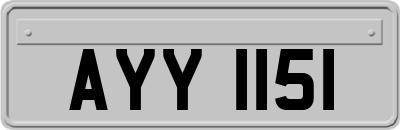 AYY1151