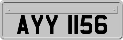 AYY1156