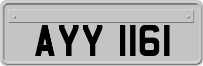 AYY1161
