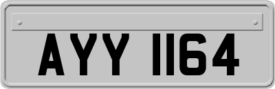 AYY1164