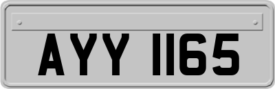 AYY1165