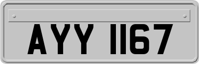 AYY1167
