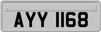 AYY1168