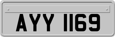 AYY1169