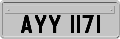 AYY1171