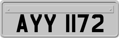 AYY1172