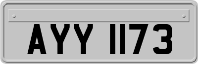 AYY1173