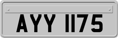 AYY1175